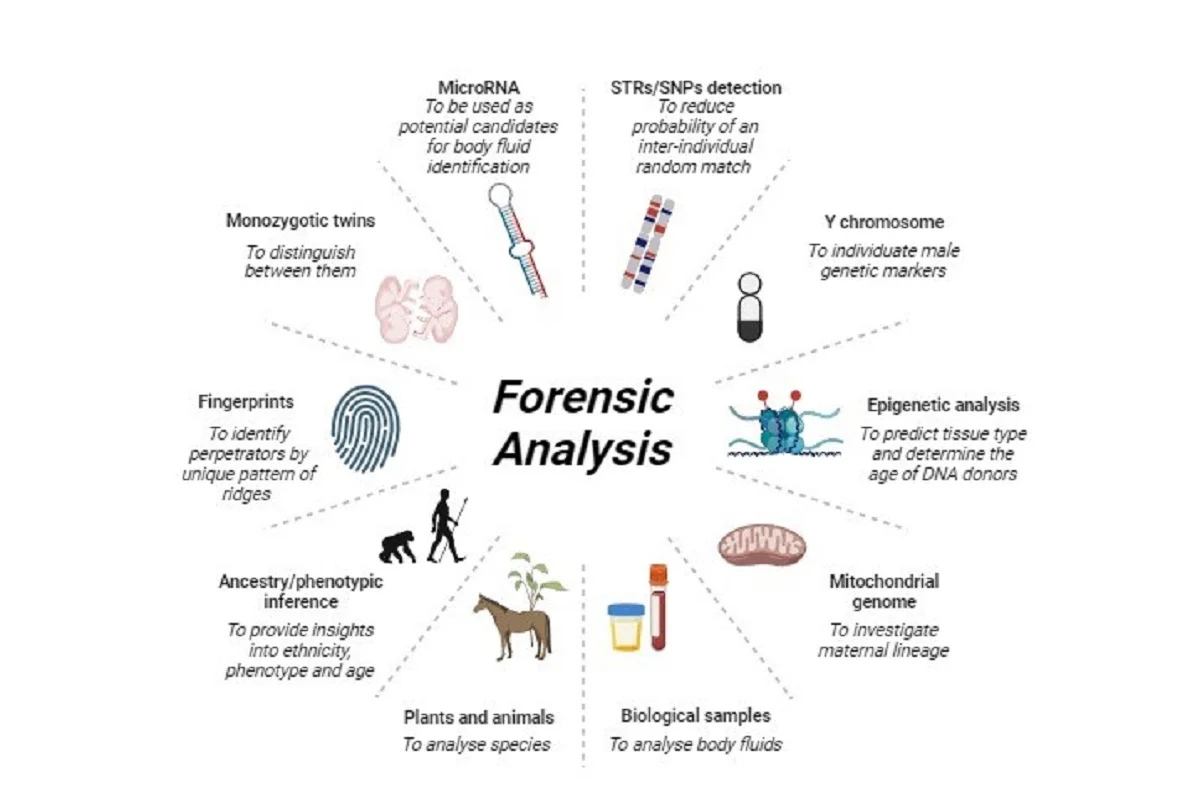 Forensic DNA laboratory pictorial diagram 1