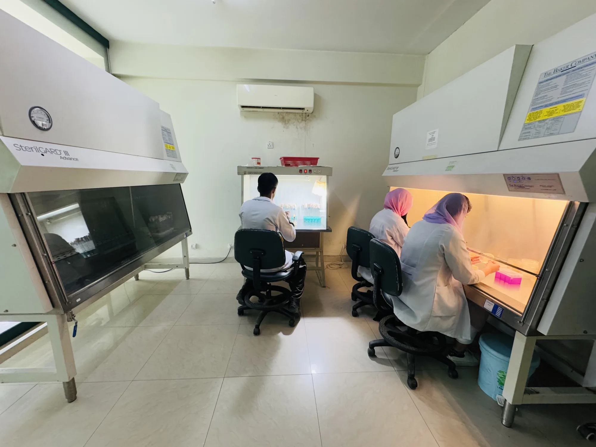 CEMB researchers working in cell culture cabinets