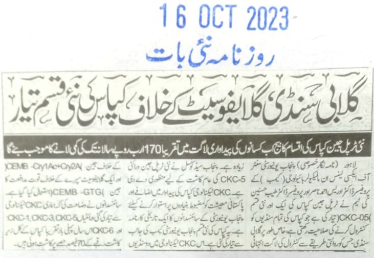 Press clipping (23 of 27)