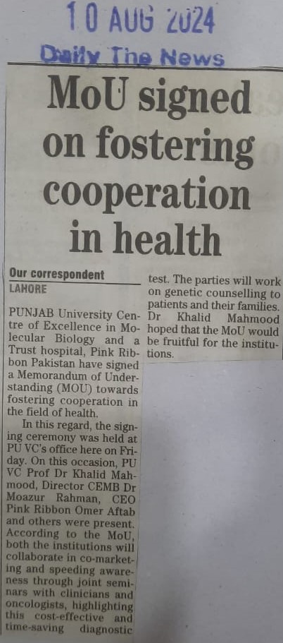 Press clipping (16 of 27)