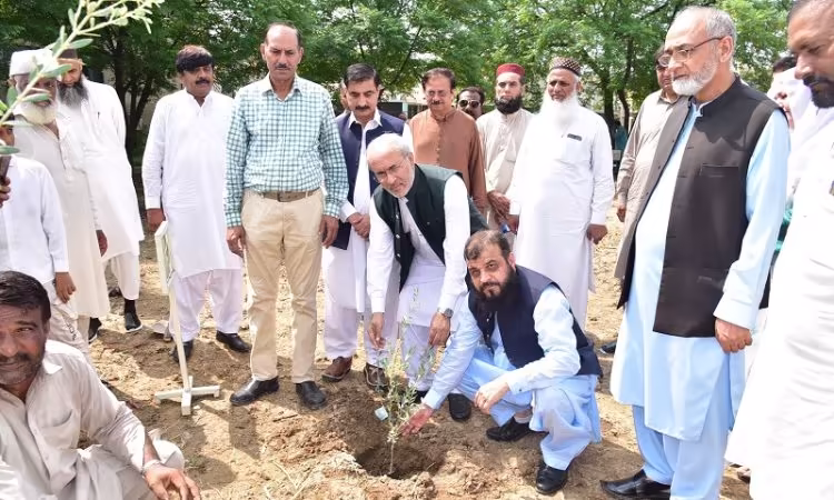 Plantation Drive Inaugurated at CEMB on Independence Day by VC Punjab University