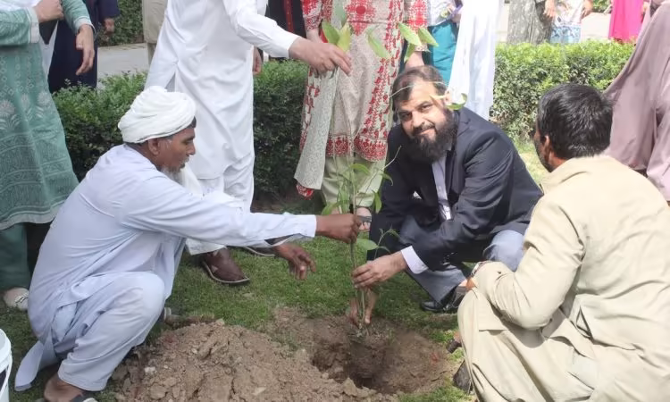 CEMB Faculty Joins University of the Punjab's Green Initiative: Sapling Plantation in full swing